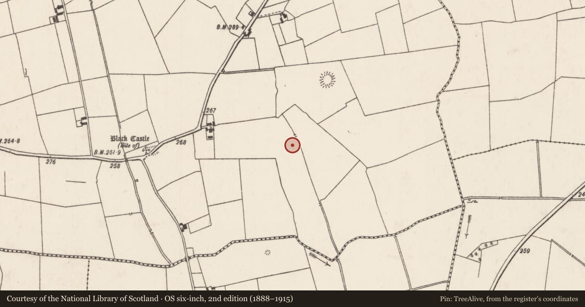 Ordnance Survey six-inch map, 2nd edition (1888–1915) covering the location of Mound, Caherelly East, County Limerick, with a pin at the register's coordinates