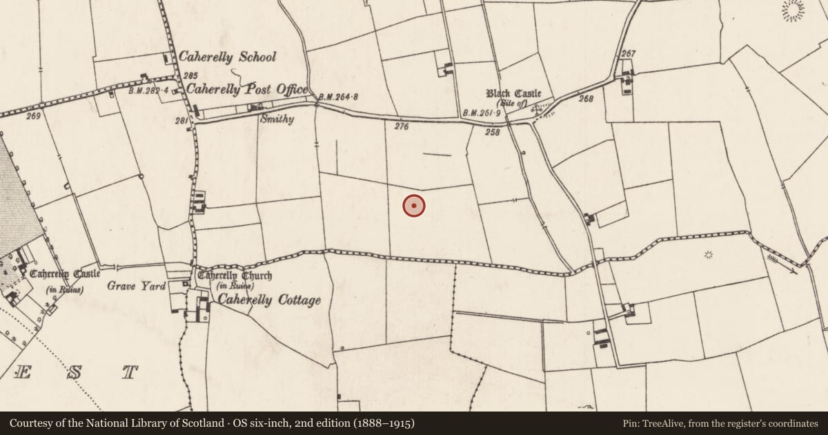Ordnance Survey six-inch map, 2nd edition (1888–1915) covering the location of Barrow - unclassified, Caherelly East, County Limerick, with a pin at the register's coordinates