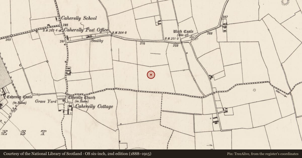 Ordnance Survey six-inch map, 2nd edition (1888–1915) covering the location of Barrow - ring-barrow, Caherelly East, County Limerick, with a pin at the register's coordinates