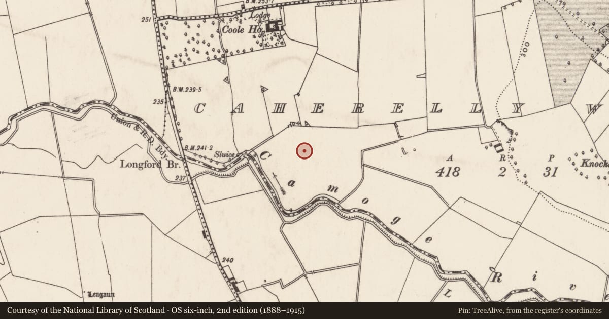 Ordnance Survey six-inch map, 2nd edition (1888–1915) covering the location of Moated site, Caherelly West, County Limerick, with a pin at the register's coordinates