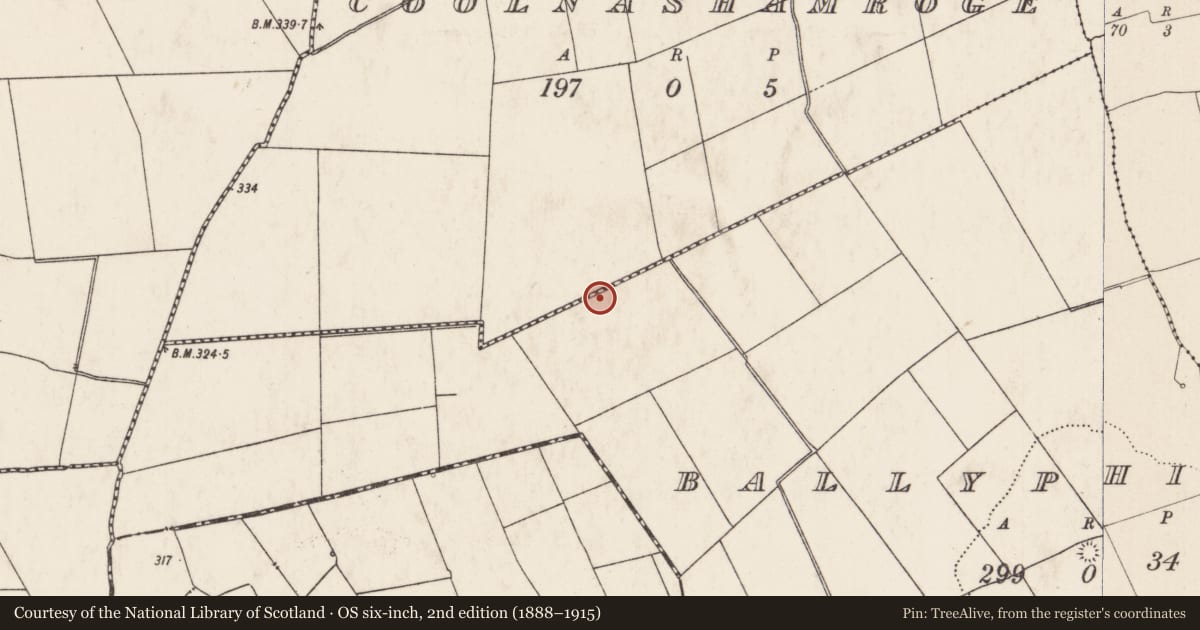 Ordnance Survey six-inch map, 2nd edition (1888–1915) covering the location of Barrow - ring-barrow, Ballyphilip, County Limerick, with a pin at the register's coordinates