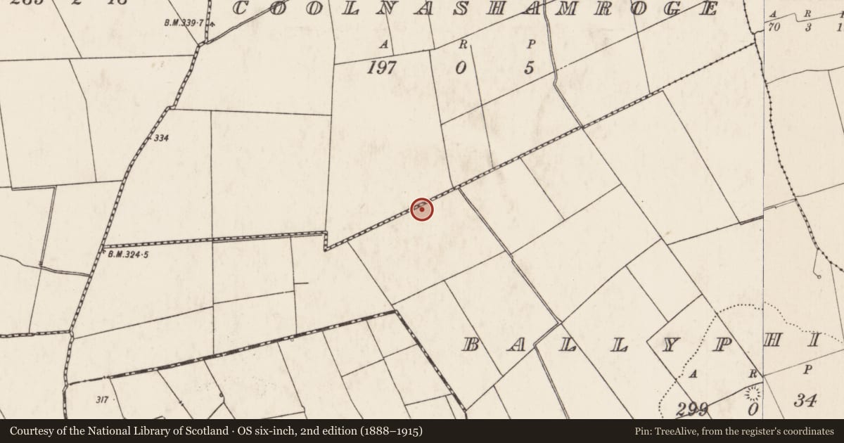Ordnance Survey six-inch map, 2nd edition (1888–1915) covering the location of Barrow - ring-barrow, Ballyphilip, County Limerick, with a pin at the register's coordinates