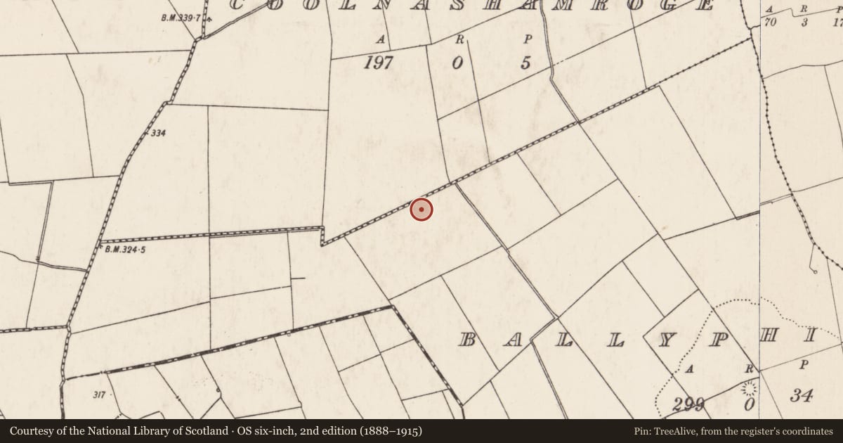 Ordnance Survey six-inch map, 2nd edition (1888–1915) covering the location of Barrow - ring-barrow, Ballyphilip, County Limerick, with a pin at the register's coordinates