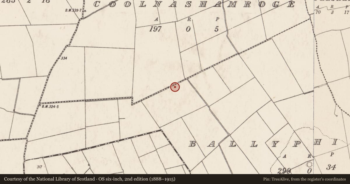 Ordnance Survey six-inch map, 2nd edition (1888–1915) covering the location of Barrow - ring-barrow, Ballyphilip, County Limerick, with a pin at the register's coordinates