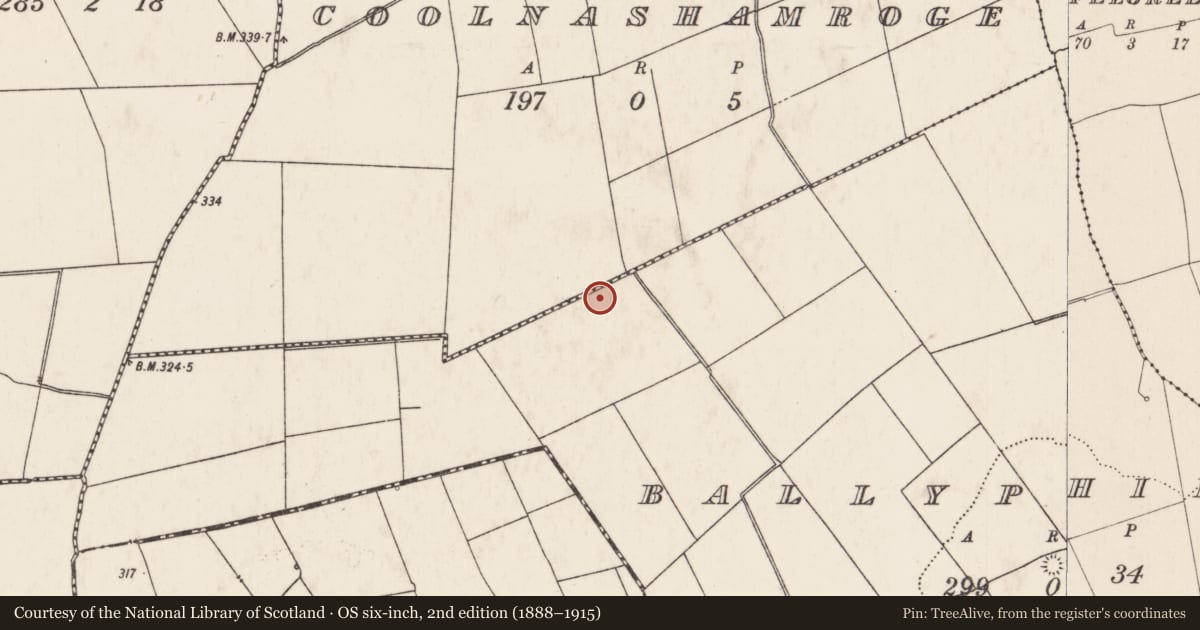Ordnance Survey six-inch map, 2nd edition (1888–1915) covering the location of Barrow - ring-barrow, Ballyphilip, County Limerick, with a pin at the register's coordinates