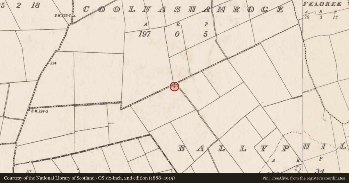 Ordnance Survey six-inch map, 2nd edition (1888–1915) covering the location of Barrow - ring-barrow, Ballyphilip, County Limerick, with a pin at the register's coordinates
