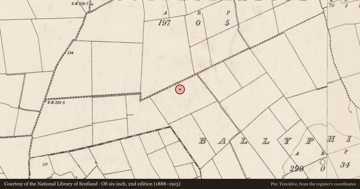 Ordnance Survey six-inch map, 2nd edition (1888–1915) covering the location of Barrow - ring-barrow, Ballyphilip, County Limerick, with a pin at the register's coordinates