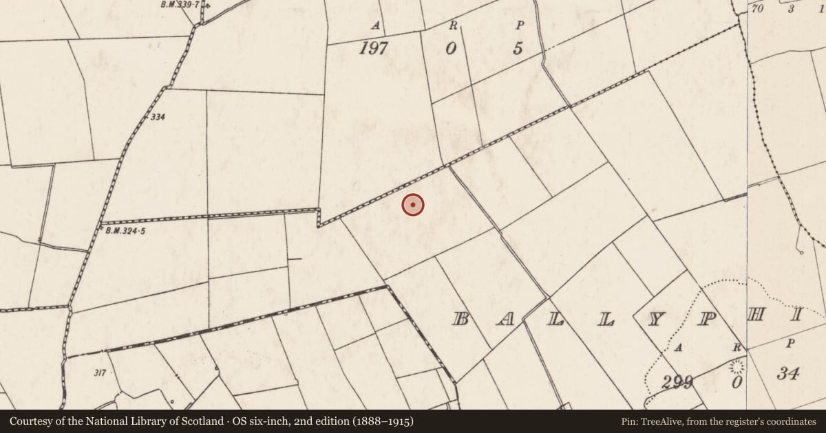 Ordnance Survey six-inch map, 2nd edition (1888–1915) covering the location of Barrow - ring-barrow, Ballyphilip, County Limerick, with a pin at the register's coordinates