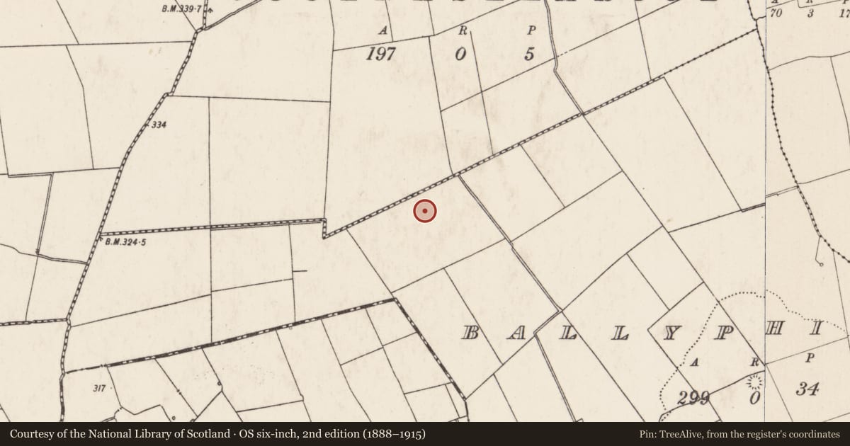 Ordnance Survey six-inch map, 2nd edition (1888–1915) covering the location of Barrow - ring-barrow, Ballyphilip, County Limerick, with a pin at the register's coordinates