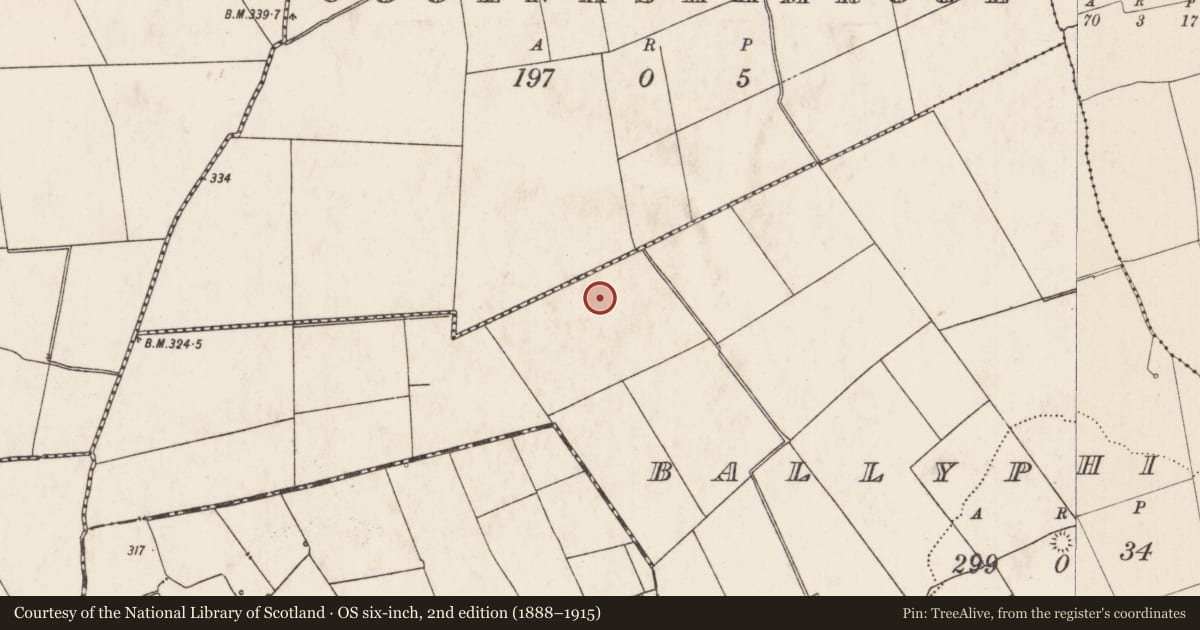 Ordnance Survey six-inch map, 2nd edition (1888–1915) covering the location of Barrow - ring-barrow, Ballyphilip, County Limerick, with a pin at the register's coordinates