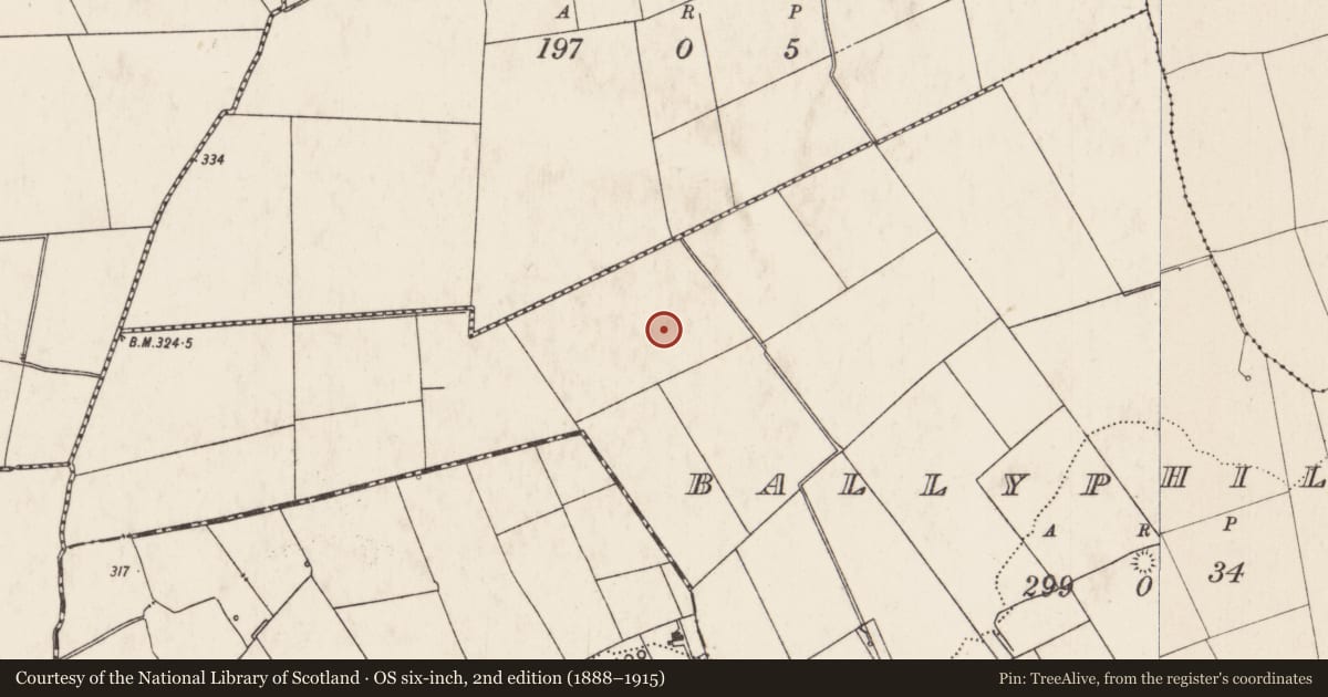Ordnance Survey six-inch map, 2nd edition (1888–1915) covering the location of Barrow - ring-barrow, Ballyphilip, County Limerick, with a pin at the register's coordinates