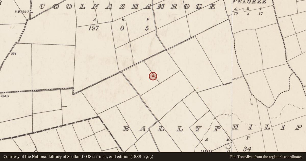 Ordnance Survey six-inch map, 2nd edition (1888–1915) covering the location of Barrow - ring-barrow, Ballyphilip, County Limerick, with a pin at the register's coordinates