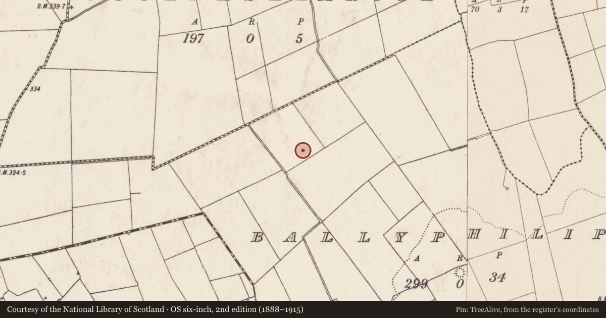 Ordnance Survey six-inch map, 2nd edition (1888–1915) covering the location of Field system, Ballyphilip, County Limerick, with a pin at the register's coordinates