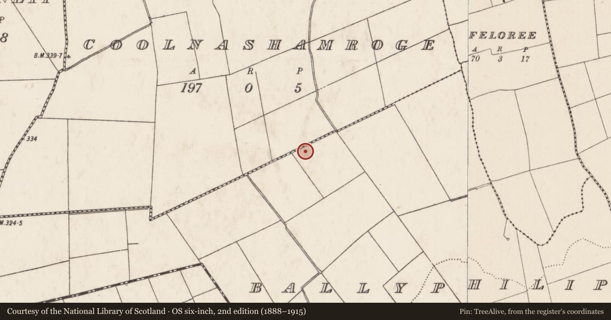 Ordnance Survey six-inch map, 2nd edition (1888–1915) covering the location of Barrow - ring-barrow, Ballyphilip, County Limerick, with a pin at the register's coordinates