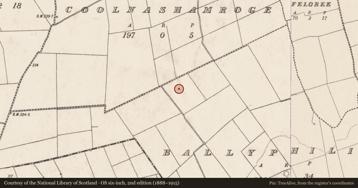 Ordnance Survey six-inch map, 2nd edition (1888–1915) covering the location of Barrow - ring-barrow, Ballyphilip, County Limerick, with a pin at the register's coordinates