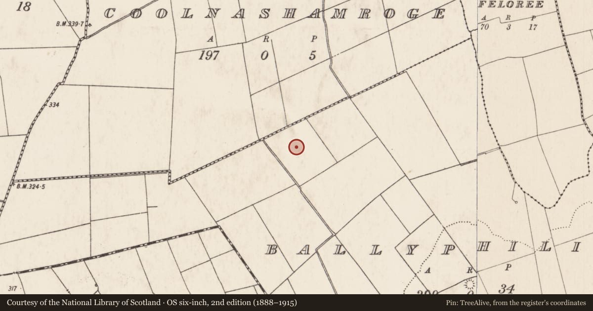 Ordnance Survey six-inch map, 2nd edition (1888–1915) covering the location of Barrow - ring-barrow, Ballyphilip, County Limerick, with a pin at the register's coordinates