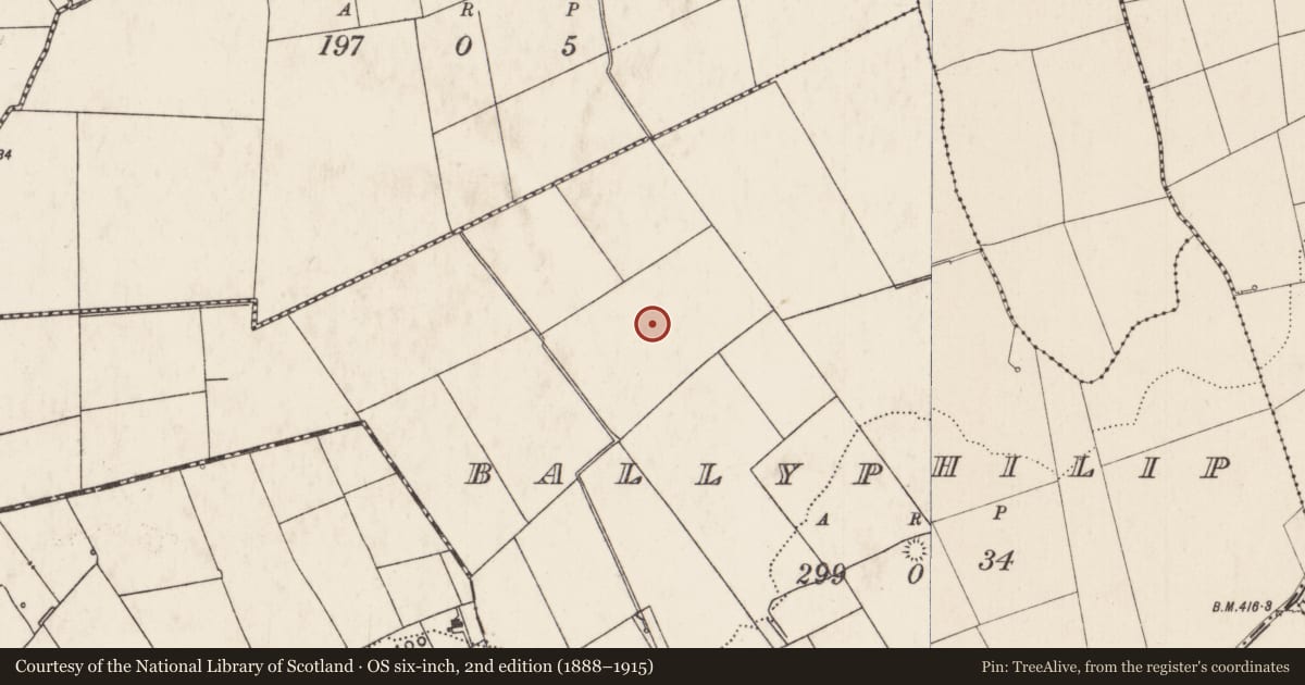 Ordnance Survey six-inch map, 2nd edition (1888–1915) covering the location of Barrow - ring-barrow, Ballyphilip, County Limerick, with a pin at the register's coordinates