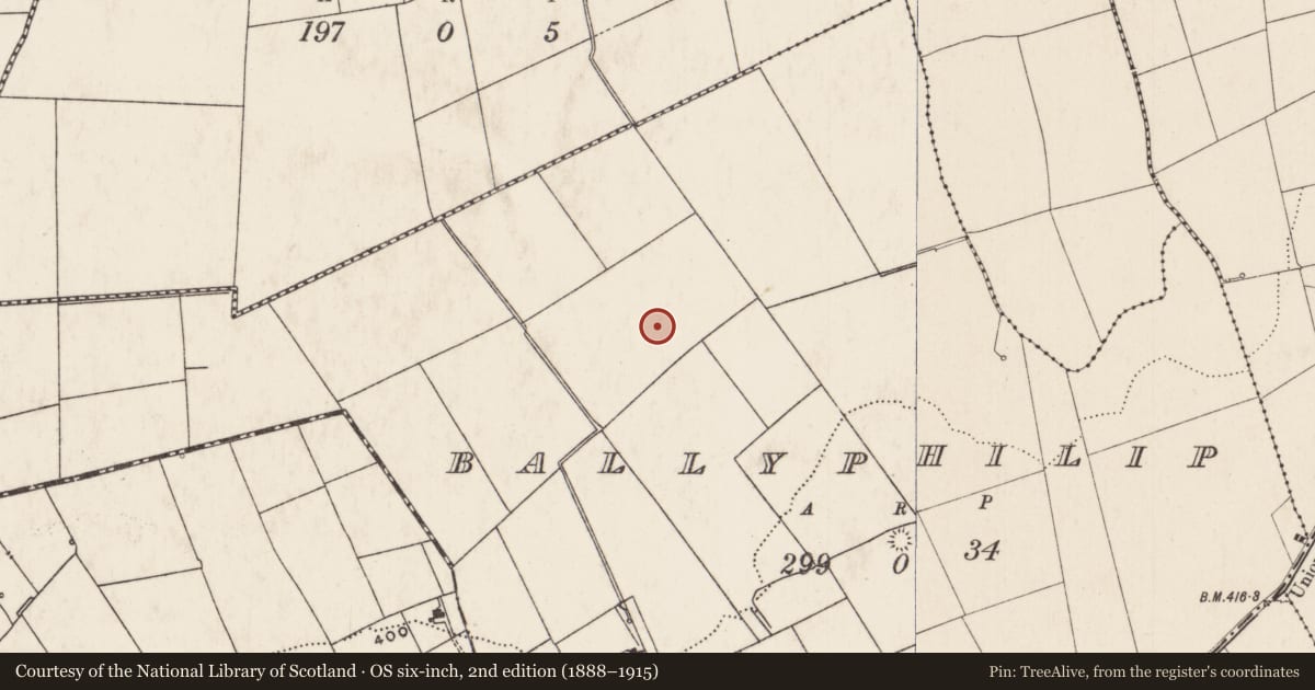 Ordnance Survey six-inch map, 2nd edition (1888–1915) covering the location of Barrow - ring-barrow, Ballyphilip, County Limerick, with a pin at the register's coordinates