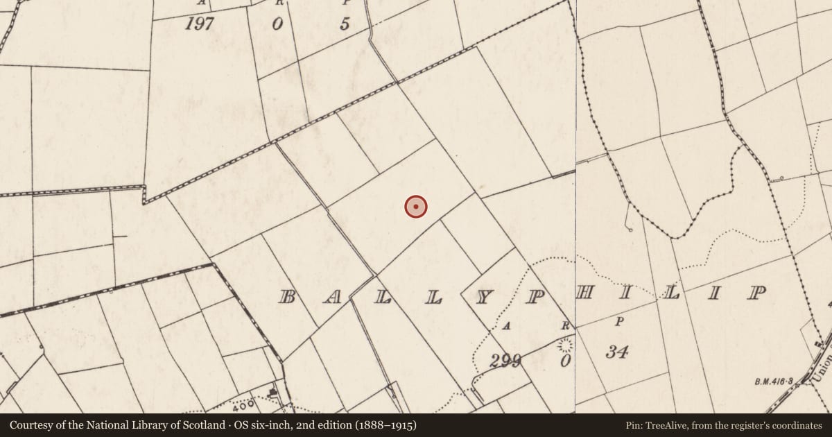 Ordnance Survey six-inch map, 2nd edition (1888–1915) covering the location of Barrow - ring-barrow, Ballyphilip, County Limerick, with a pin at the register's coordinates