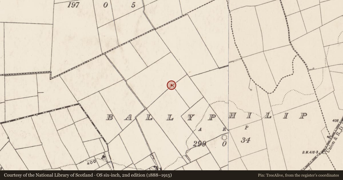 Ordnance Survey six-inch map, 2nd edition (1888–1915) covering the location of Enclosure, Ballyphilip, County Limerick, with a pin at the register's coordinates