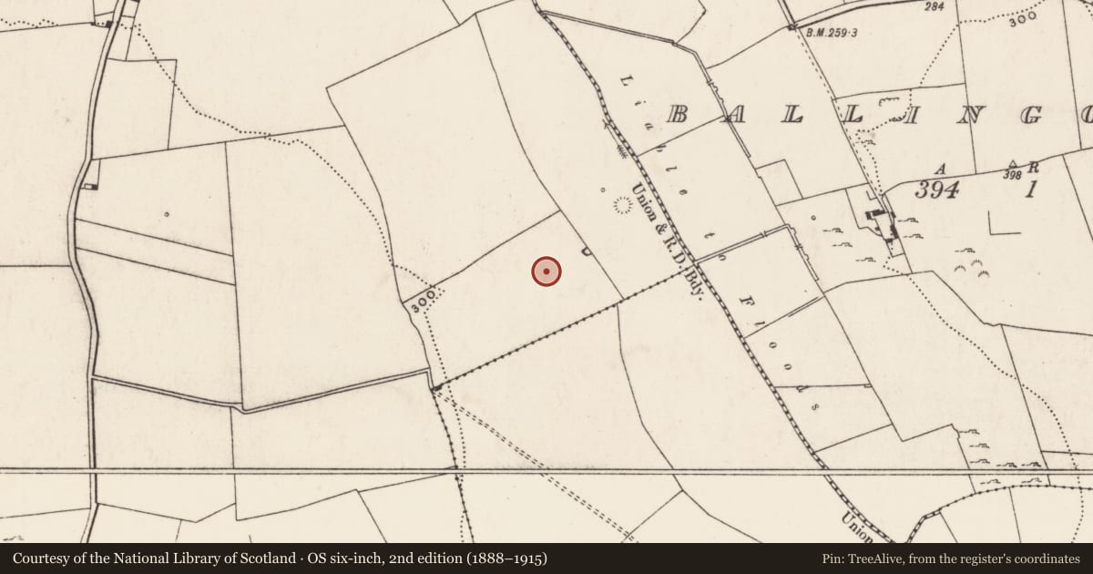 Ordnance Survey six-inch map, 2nd edition (1888–1915) covering the location of Barrow - ring-barrow, Grange, County Limerick, with a pin at the register's coordinates