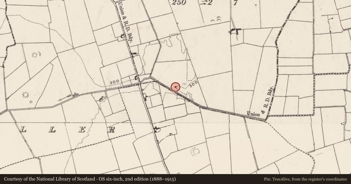 Ordnance Survey six-inch map, 2nd edition (1888–1915) covering the location of Barrow - ring-barrow, Galboola, County Limerick, with a pin at the register's coordinates