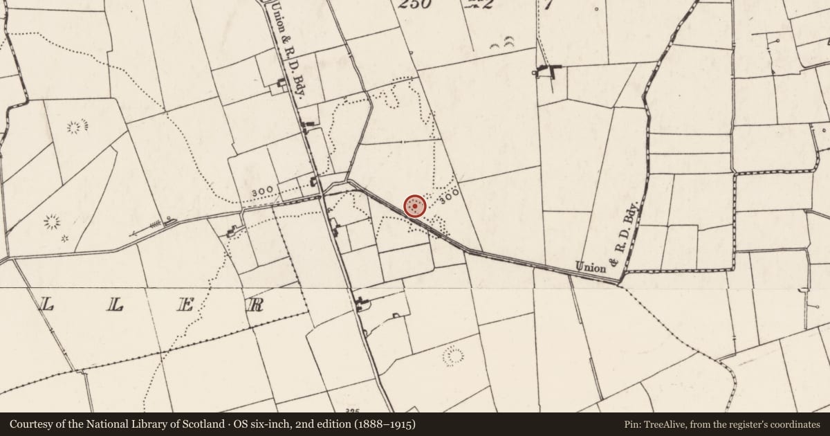 Ordnance Survey six-inch map, 2nd edition (1888–1915) covering the location of Barrow - ring-barrow, Galboola, County Limerick, with a pin at the register's coordinates