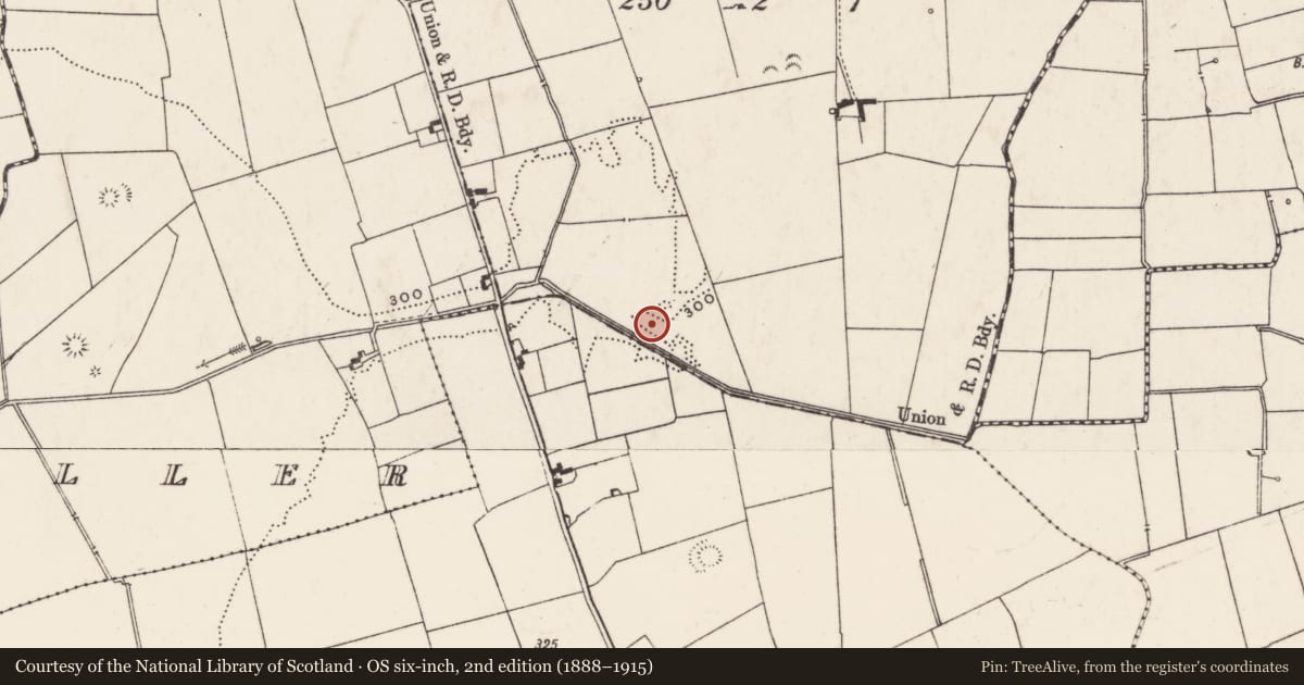 Ordnance Survey six-inch map, 2nd edition (1888–1915) covering the location of Barrow - ring-barrow, Galboola, County Limerick, with a pin at the register's coordinates