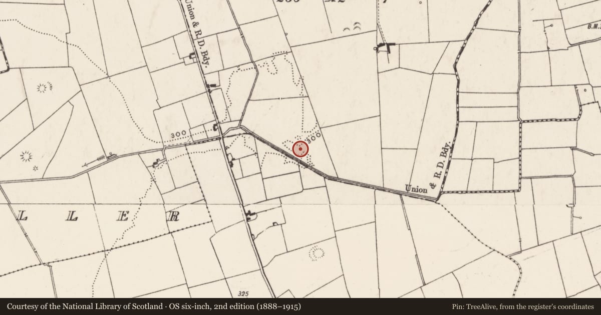 Ordnance Survey six-inch map, 2nd edition (1888–1915) covering the location of Barrow - ring-barrow, Galboola, County Limerick, with a pin at the register's coordinates