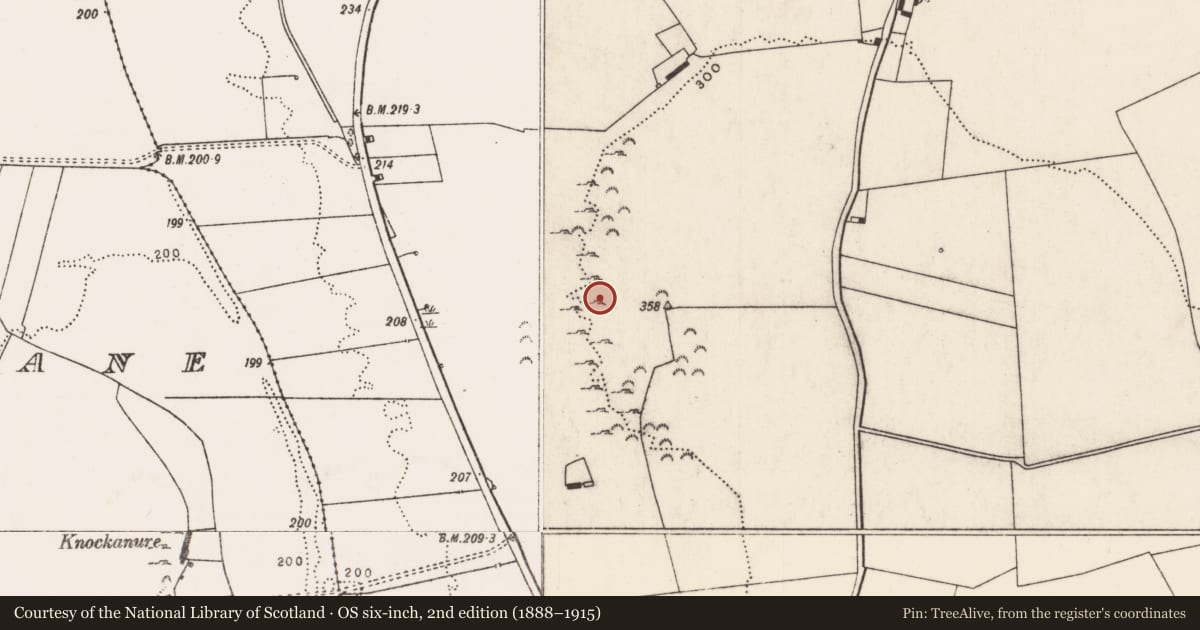 Ordnance Survey six-inch map, 2nd edition (1888–1915) covering the location of Cave, Grange, County Limerick, with a pin at the register's coordinates