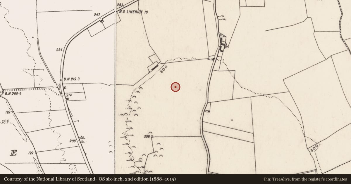 Ordnance Survey six-inch map, 2nd edition (1888–1915) covering the location of Road - road/trackway, Grange, County Limerick, with a pin at the register's coordinates