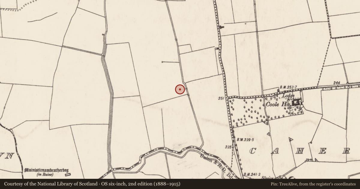 Ordnance Survey six-inch map, 2nd edition (1888–1915) covering the location of Barrow - ring-barrow, Friarstown, County Limerick, with a pin at the register's coordinates