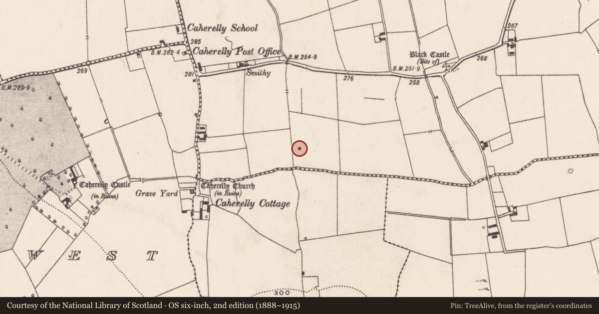 Ordnance Survey six-inch map, 2nd edition (1888–1915) covering the location of Barrow - ring-barrow, Caherelly East, County Limerick, with a pin at the register's coordinates
