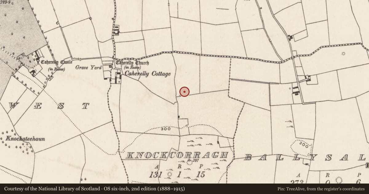 Ordnance Survey six-inch map, 2nd edition (1888–1915) covering the location of Enclosure, Knockcorragh, County Limerick, with a pin at the register's coordinates