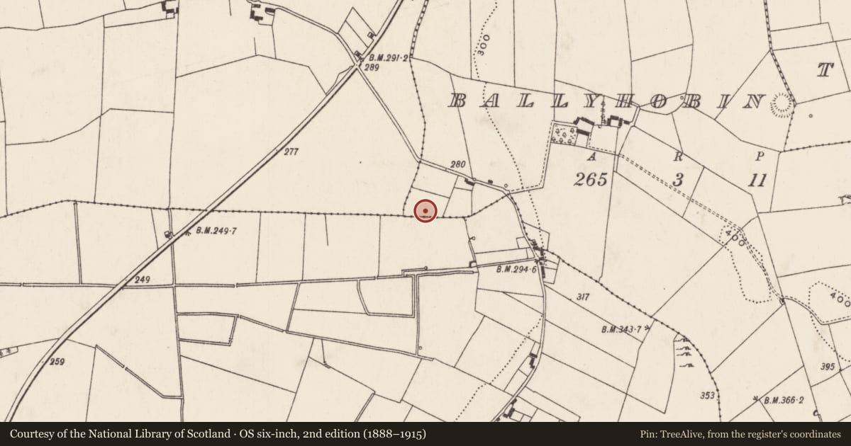 Ordnance Survey six-inch map, 2nd edition (1888–1915) covering the location of Barrow - ring-barrow, Ballyhobin, County Limerick, with a pin at the register's coordinates