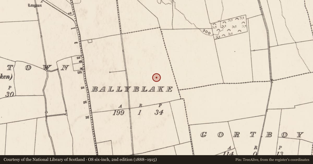 Ordnance Survey six-inch map, 2nd edition (1888–1915) covering the location of Enclosure, Ballyblake, County Limerick, with a pin at the register's coordinates