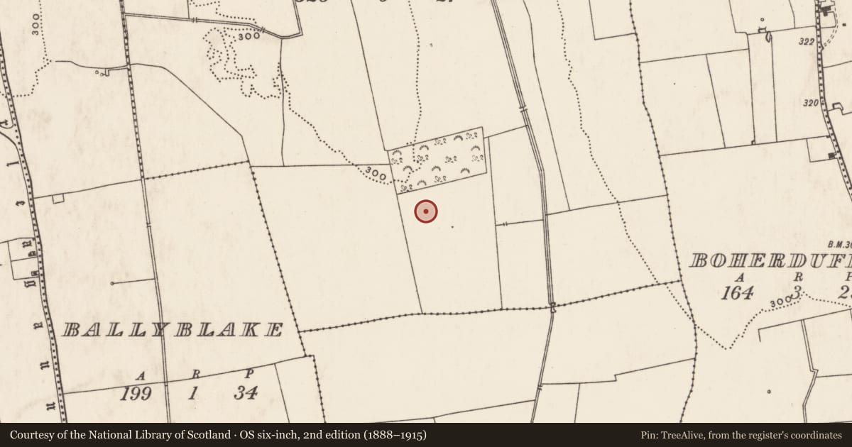 Ordnance Survey six-inch map, 2nd edition (1888–1915) covering the location of Enclosure, Ballybricken South, County Limerick, with a pin at the register's coordinates