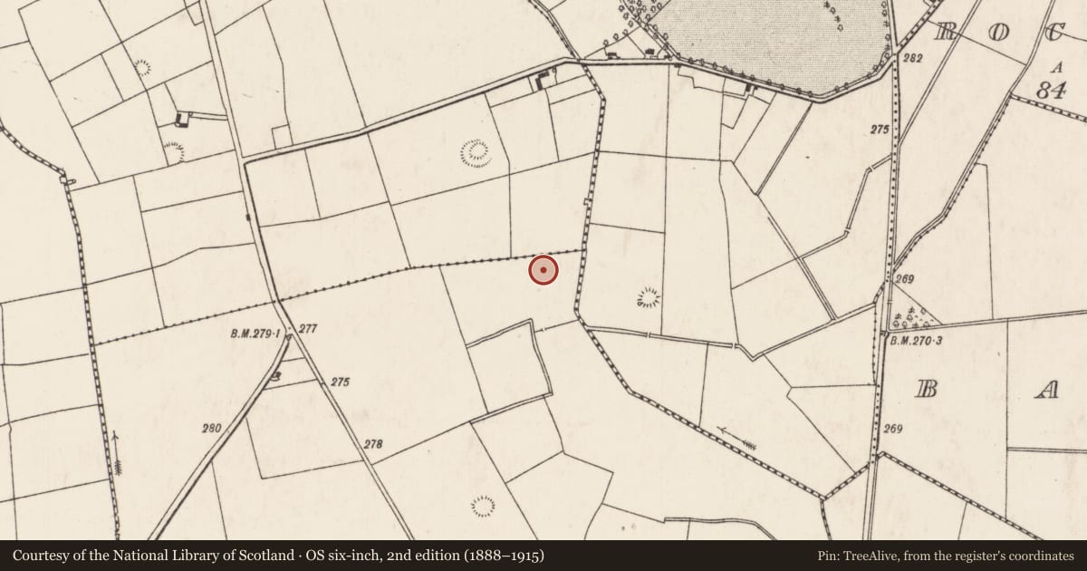 Ordnance Survey six-inch map, 2nd edition (1888–1915) covering the location of Enclosure, Doonvullen Upper, County Limerick, with a pin at the register's coordinates