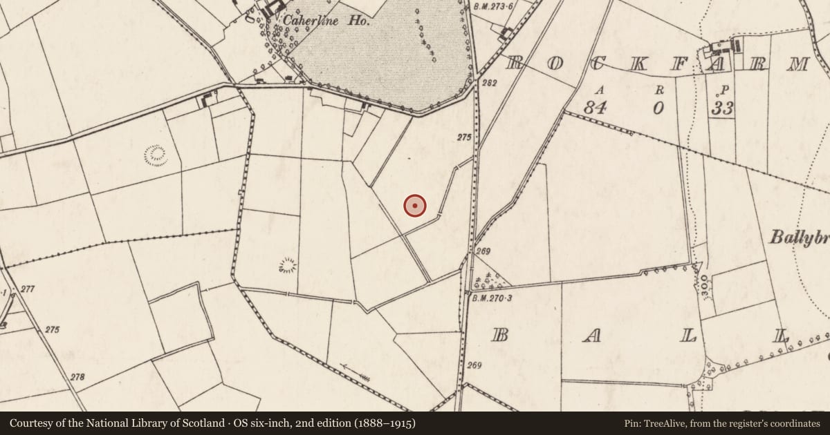 Ordnance Survey six-inch map, 2nd edition (1888–1915) covering the location of Enclosure, Caherline, County Limerick, with a pin at the register's coordinates