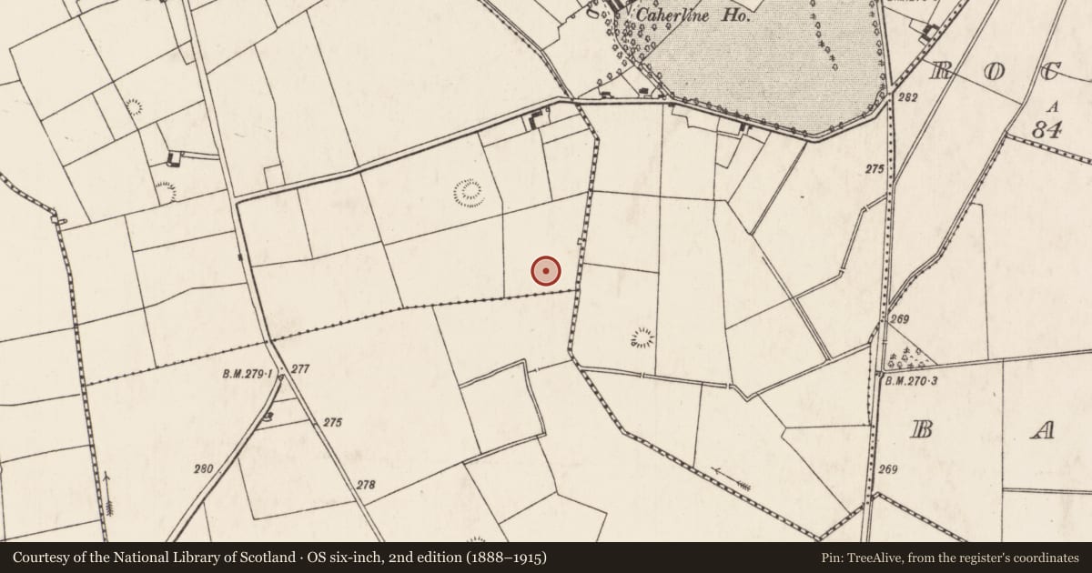 Ordnance Survey six-inch map, 2nd edition (1888–1915) covering the location of Enclosure, Doonvullen Lower, County Limerick, with a pin at the register's coordinates