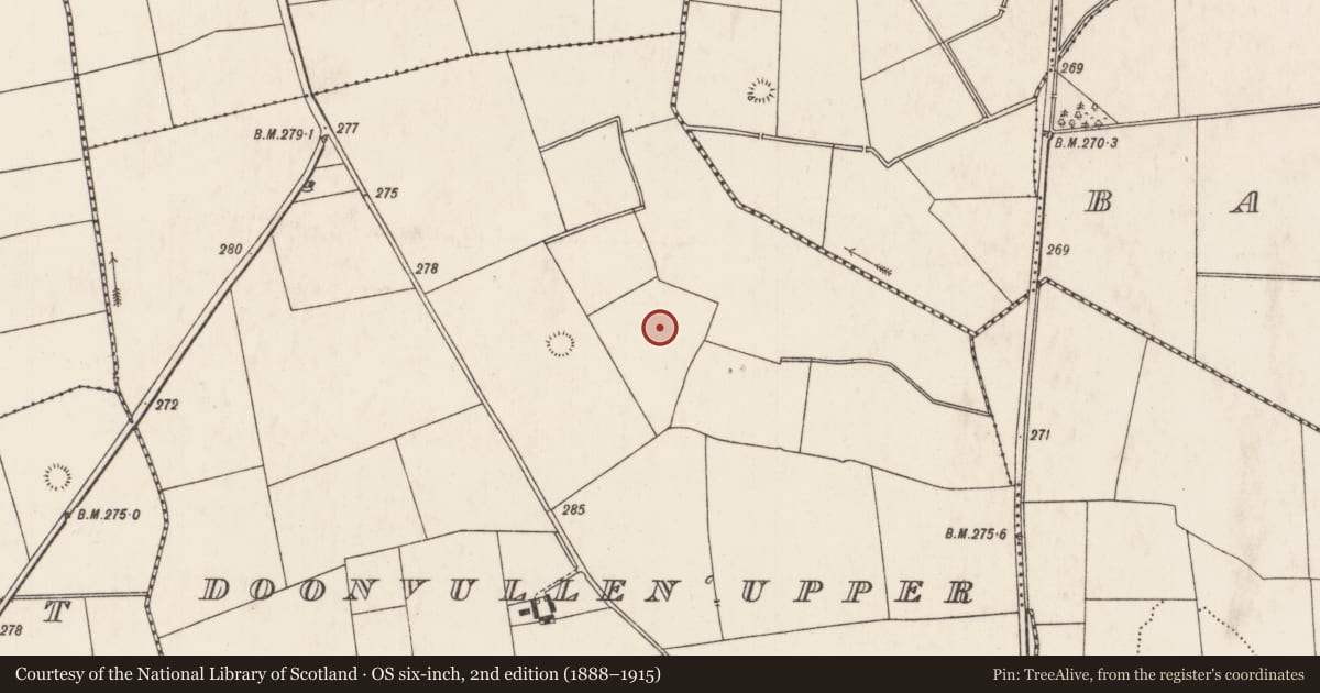 Ordnance Survey six-inch map, 2nd edition (1888–1915) covering the location of Field system, Doonvullen Upper, County Limerick, with a pin at the register's coordinates
