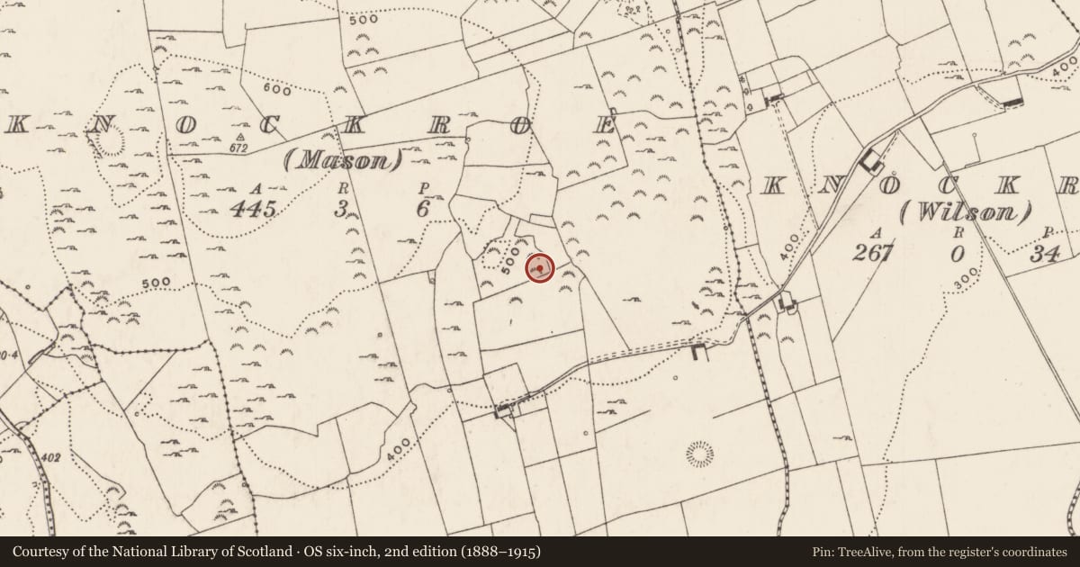 Ordnance Survey six-inch map, 2nd edition (1888–1915) covering the location of Enclosure, Knockroe (Mason), County Limerick, with a pin at the register's coordinates