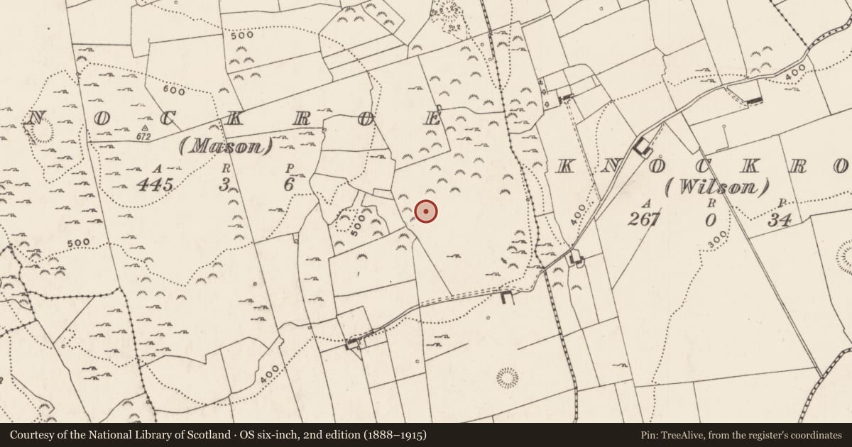 Ordnance Survey six-inch map, 2nd edition (1888–1915) covering the location of Enclosure, Knockroe (Mason), County Limerick, with a pin at the register's coordinates