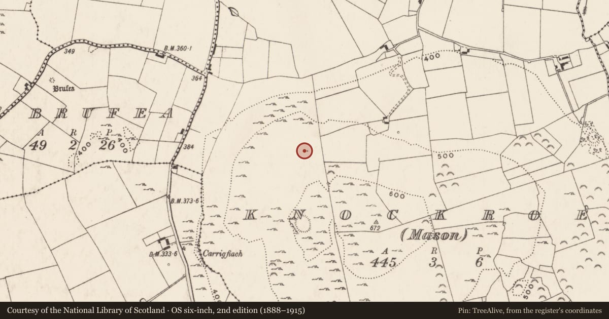 Ordnance Survey six-inch map, 2nd edition (1888–1915) covering the location of Enclosure, Knockroe, County Limerick, with a pin at the register's coordinates
