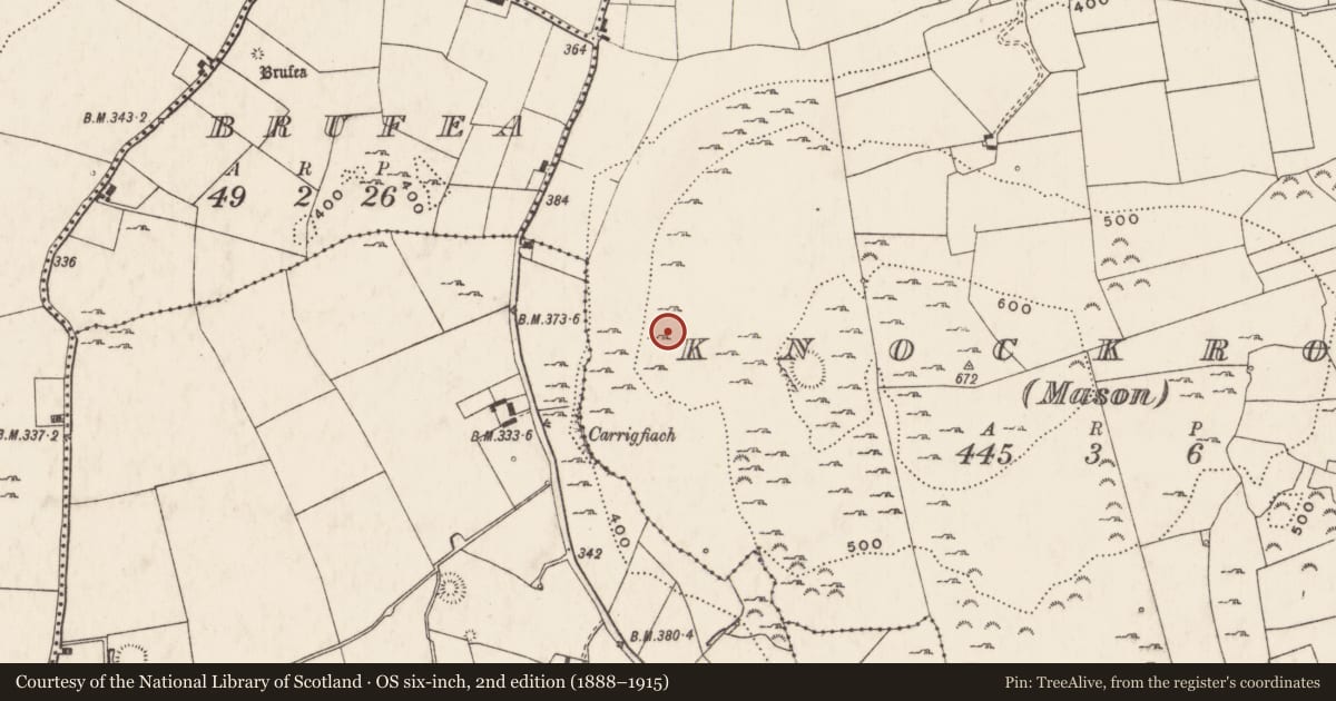 Ordnance Survey six-inch map, 2nd edition (1888–1915) covering the location of Enclosure, Knockroe (Mason), County Limerick, with a pin at the register's coordinates