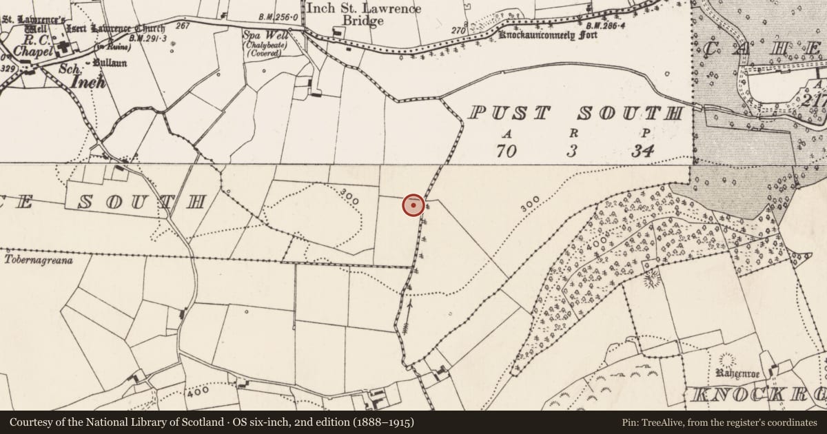 Ordnance Survey six-inch map, 2nd edition (1888–1915) covering the location of Enclosure, Inch St. Lawrence North, County Limerick, with a pin at the register's coordinates