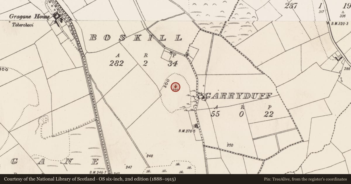 Ordnance Survey six-inch map, 2nd edition (1888–1915) covering the location of Hilltop enclosure, Boskill, County Limerick, with a pin at the register's coordinates