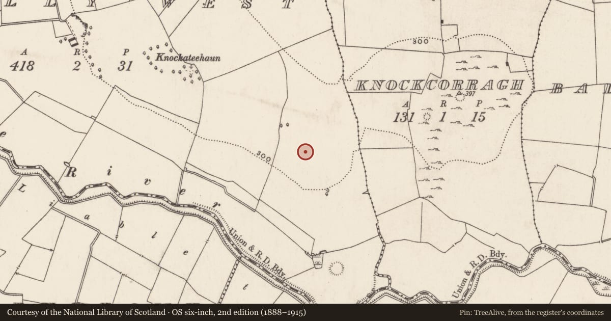 Ordnance Survey six-inch map, 2nd edition (1888–1915) covering the location of Enclosure, Caherelly West, County Limerick, with a pin at the register's coordinates