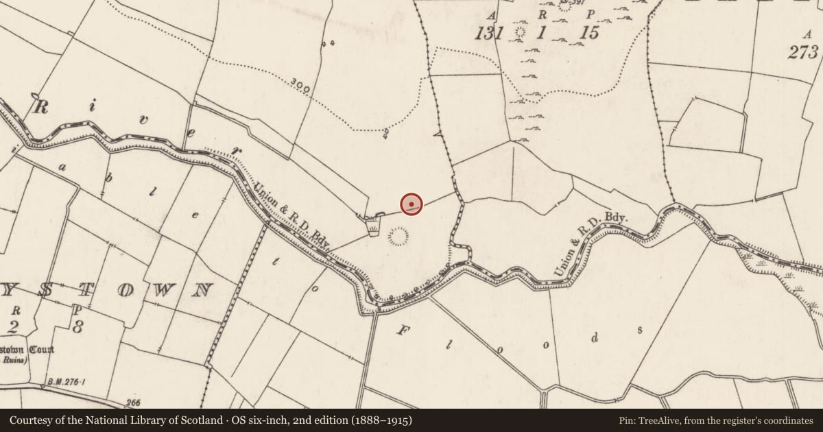 Ordnance Survey six-inch map, 2nd edition (1888–1915) covering the location of Barrow - ring-barrow, Caherelly West, County Limerick, with a pin at the register's coordinates