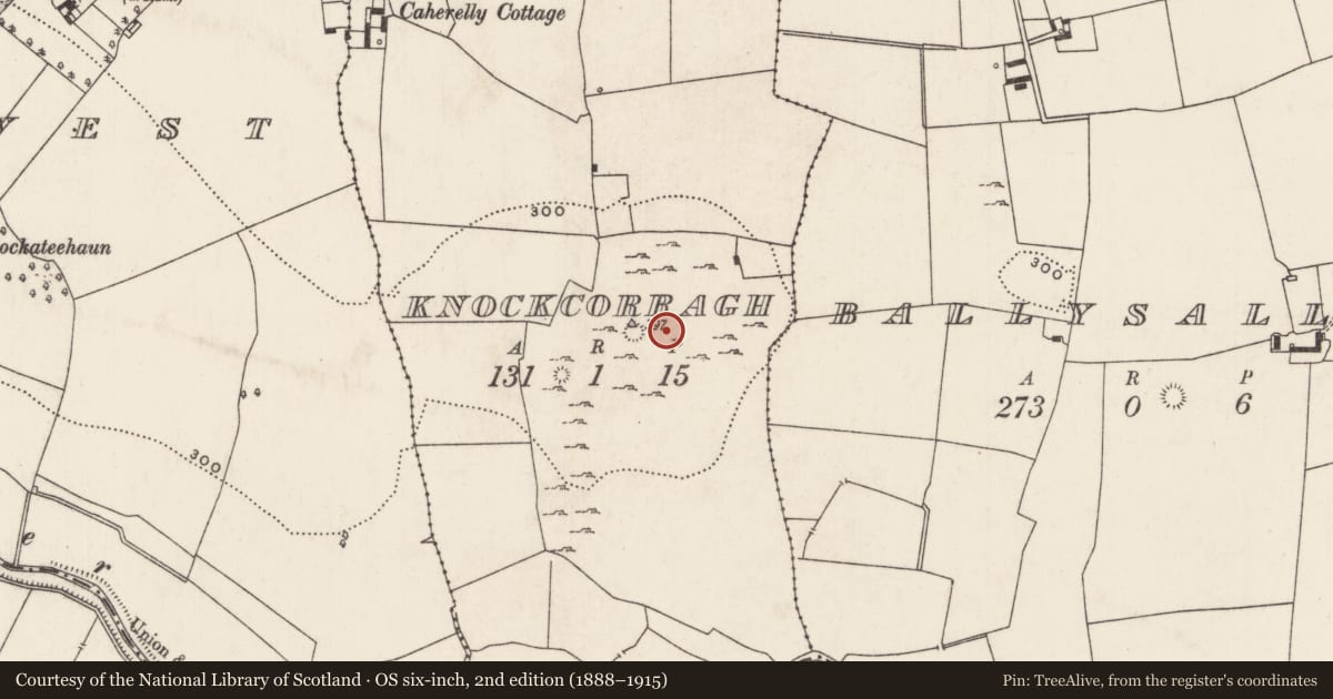 Ordnance Survey six-inch map, 2nd edition (1888–1915) covering the location of Field system, Knockcorragh, County Limerick, with a pin at the register's coordinates